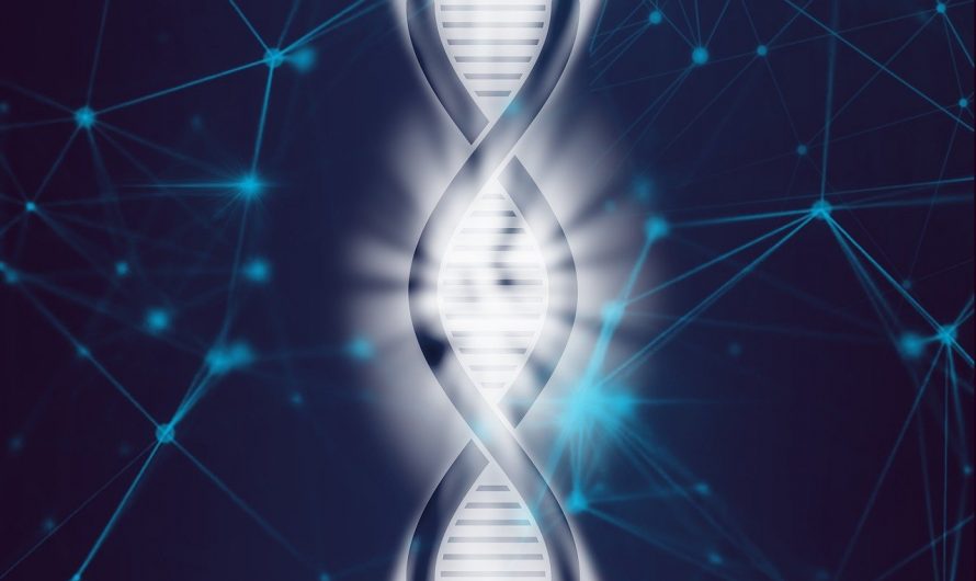 The Human Genome Project, one of the 21st most significant breakthrough